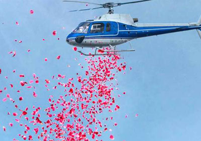 Flower Dropping